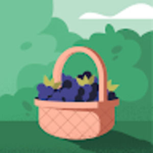 Meet your Posher, Cora